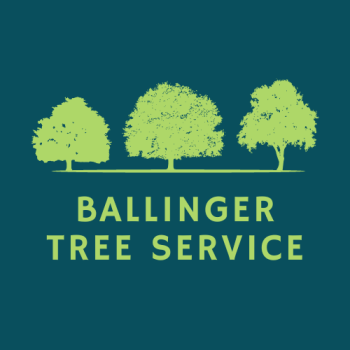 Ballinger Tree Service Logo